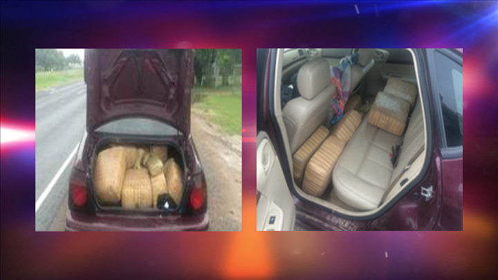 Weslaco Pot Bust - 720