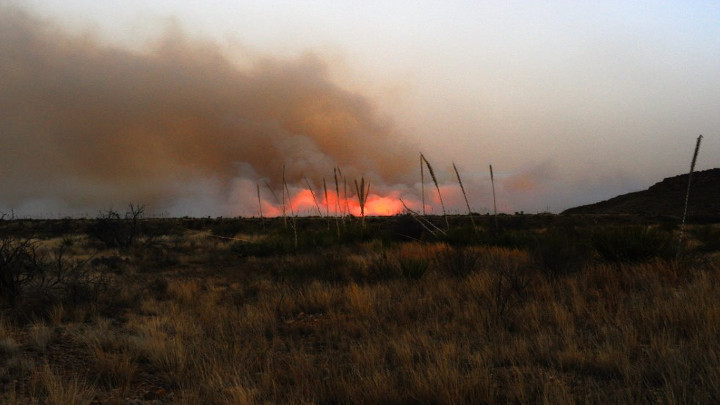 Big Bend National Park Wildfire, Photo 1 (2-1-16) - 720