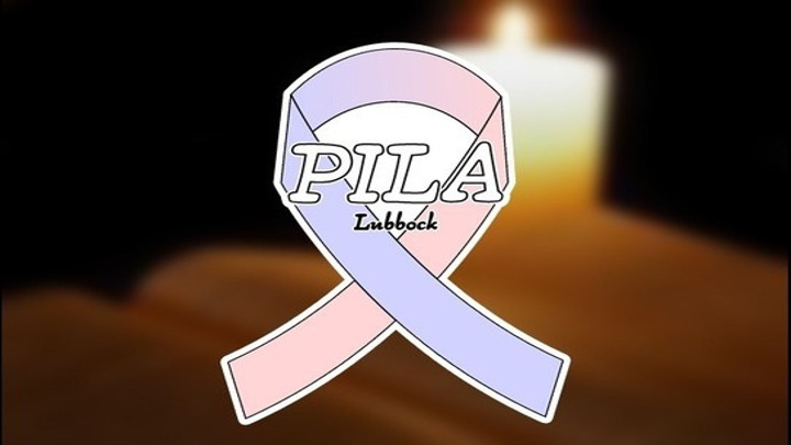 PILA Pregnancy and Infant Loss Awareness Logo - 720