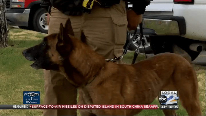 Winkler County Sheriff's Office Cutting K-9 Officer Program - 720