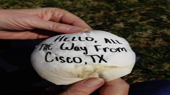 Balloon Released From Cisco Found Over 900 Miles Away in Ohio - 720