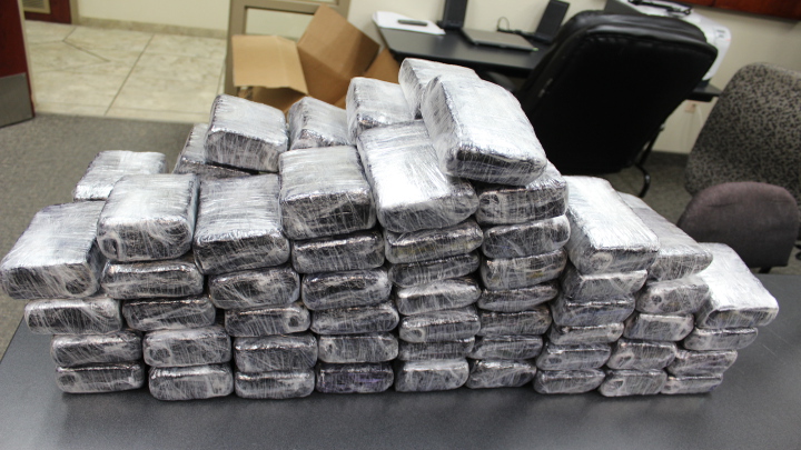Andrews Police Recover More Than 100 Pounds of Marijuana Friday - 720
