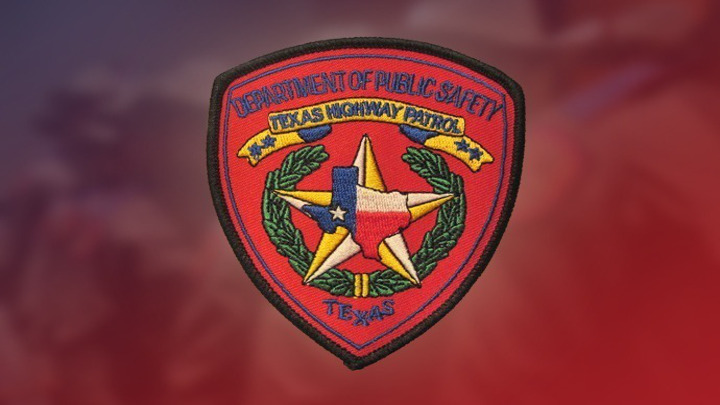 Texas DPS Badge - 720