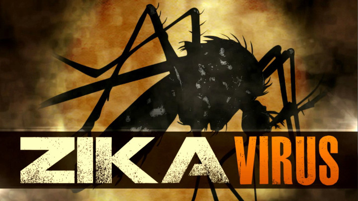 Zika Virus Graphic (Version 1) - 720