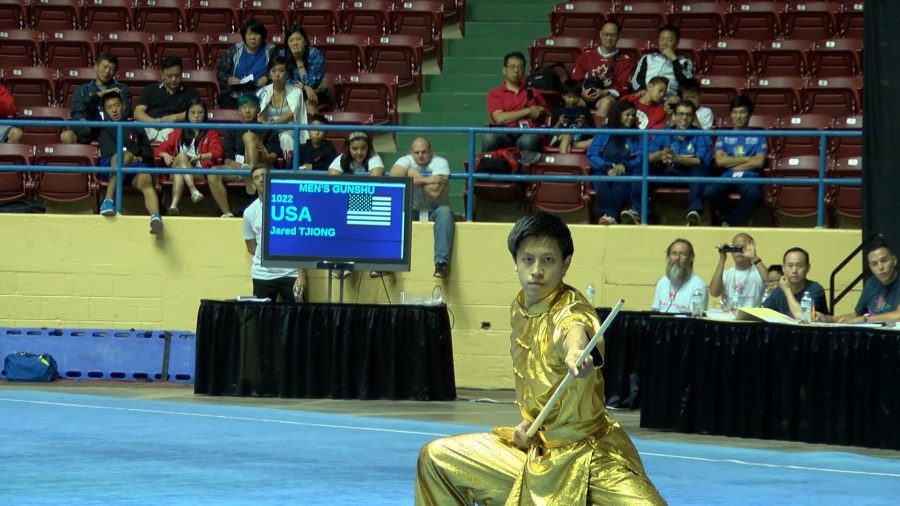 Wushu