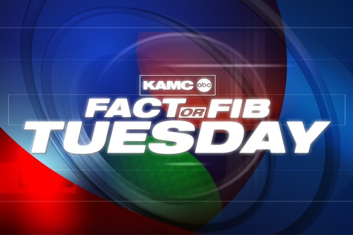 Fact or Fib Logo