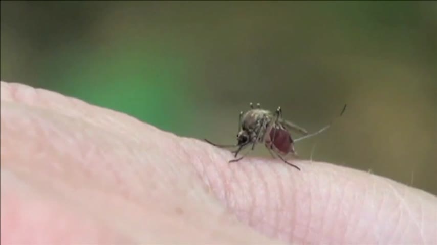 Lubbock's First Human Case of West Nile for 2016