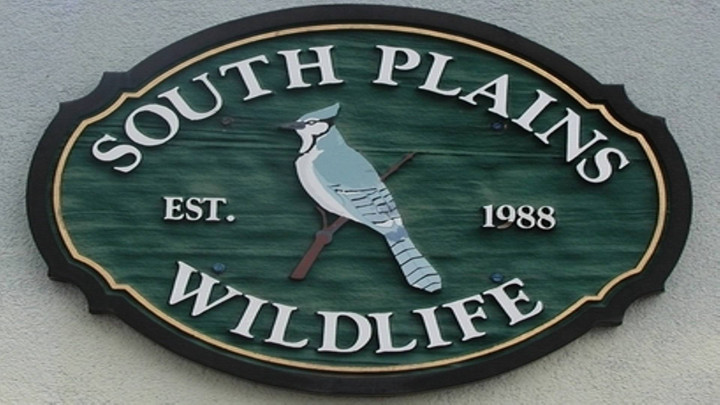 South Plains Wildlife Rehabilitation Center, Inc. - 720