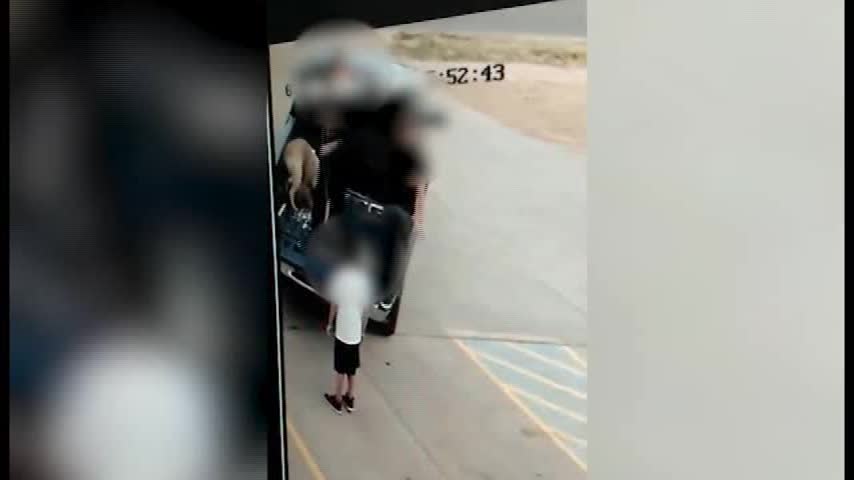 Dog Abandoned- Caught on Video_46530619