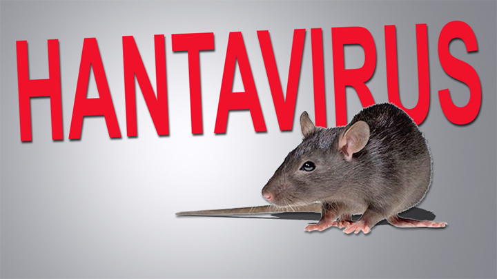 hantavirus gfx 720