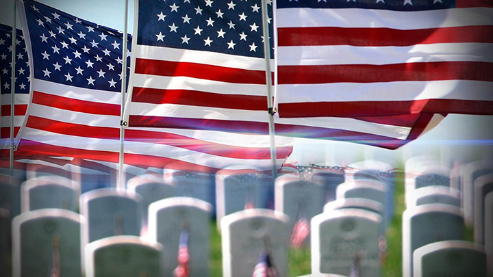 American Flags at Cemetery Graphic - 720