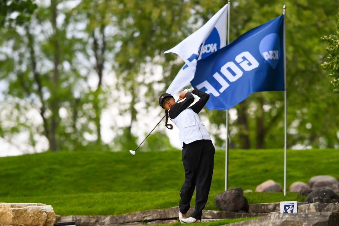 TECH GOLF GAB_1495426168783.jpg