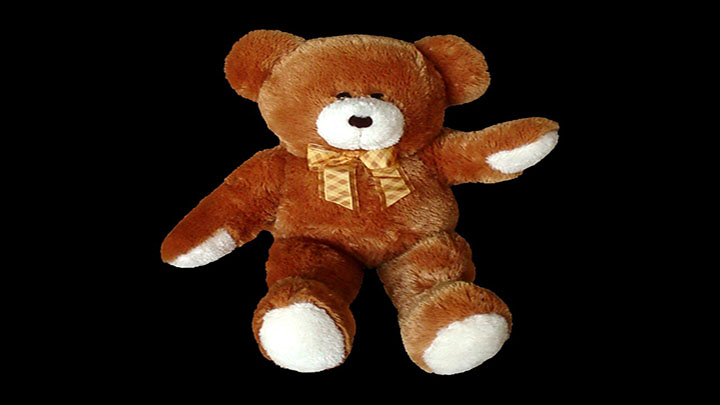 Teddy Bear Photo - 720