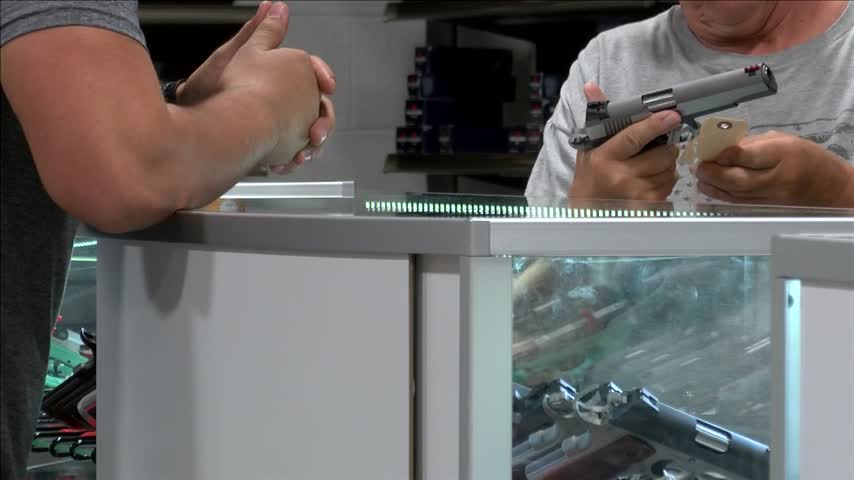 Gun Expert Discusses Purchase Procedures_47387058