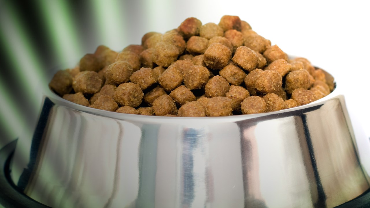Dog Food 720