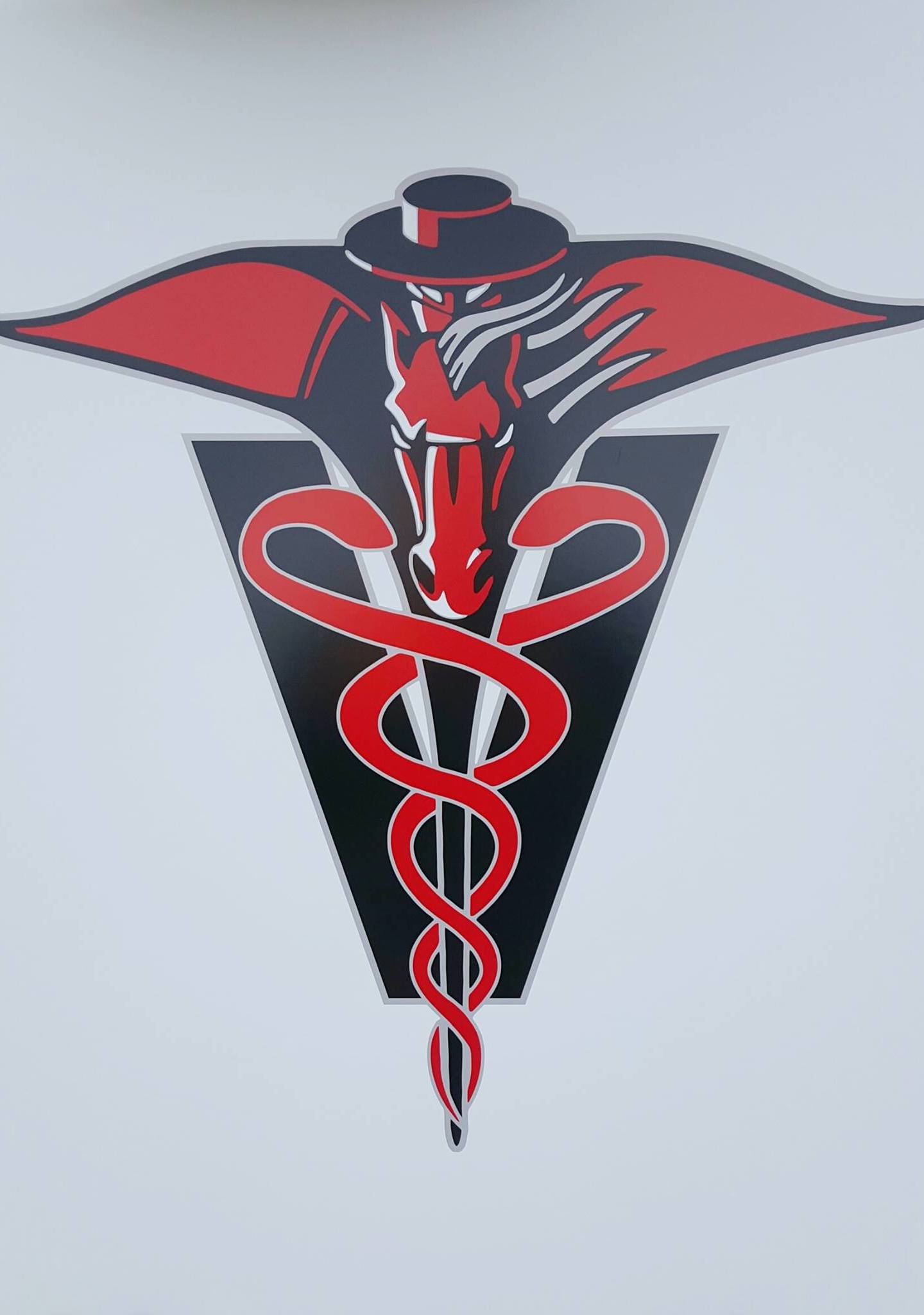 Texas Tech Vet School Logo Vertical_1495939635301-60170200.jpg