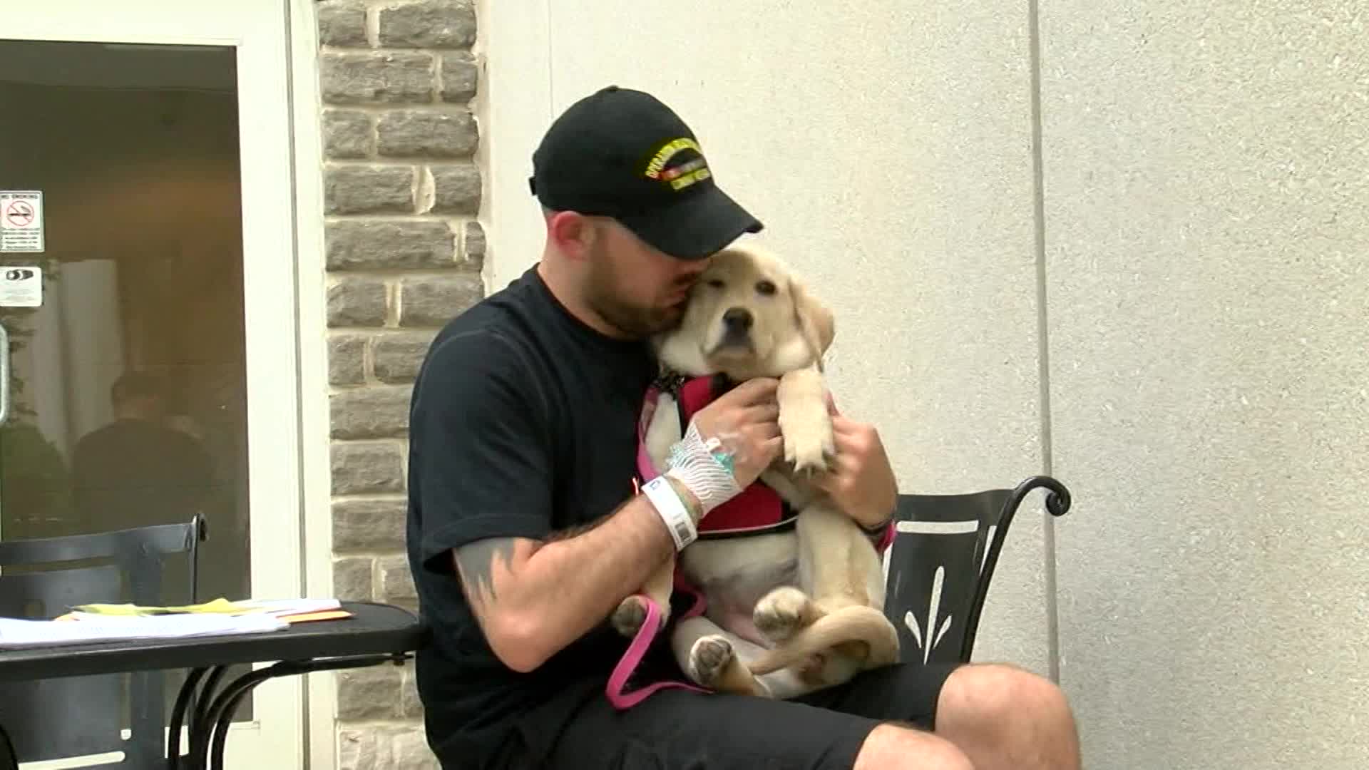 vet and dog_1526744872719.jpg-873772846.jpg