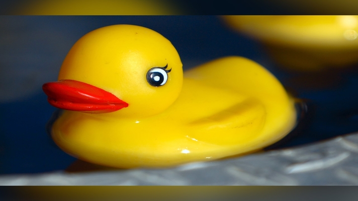 Rubber Duck - 720