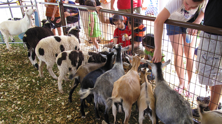 Critterfest 720 v3