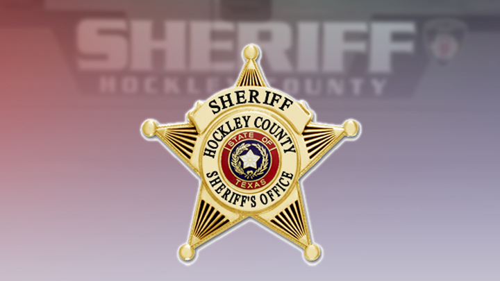 Hockley County Sheriff Badge 720