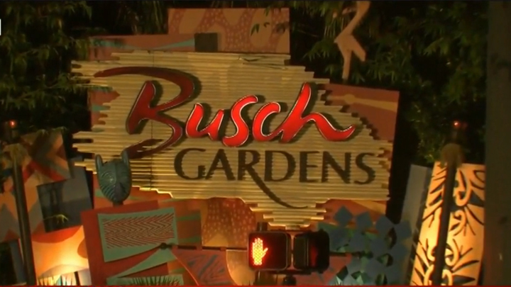 man shot Bush Gardens 720 wfla.com