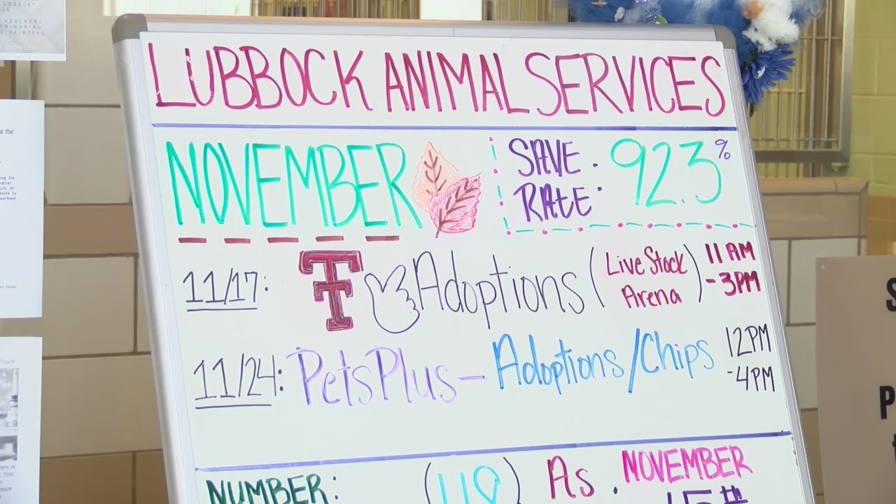 Lubbock_Animal_Services_gives_out_tips_t_1_20181124001502