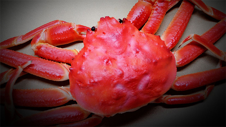 Crab, Crab Legs - 720