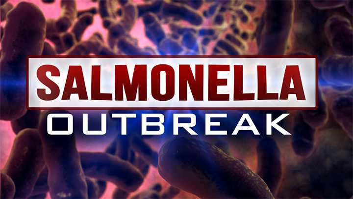 Salmonella Outbreak - 720