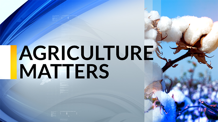 KLBK Agriculture Matters, KLBK Screen Capture (2019) - 720