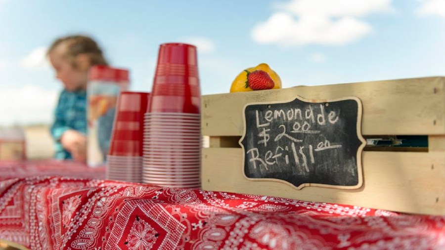 Lemonade Stand IS_1560265667056.jpg.jpg