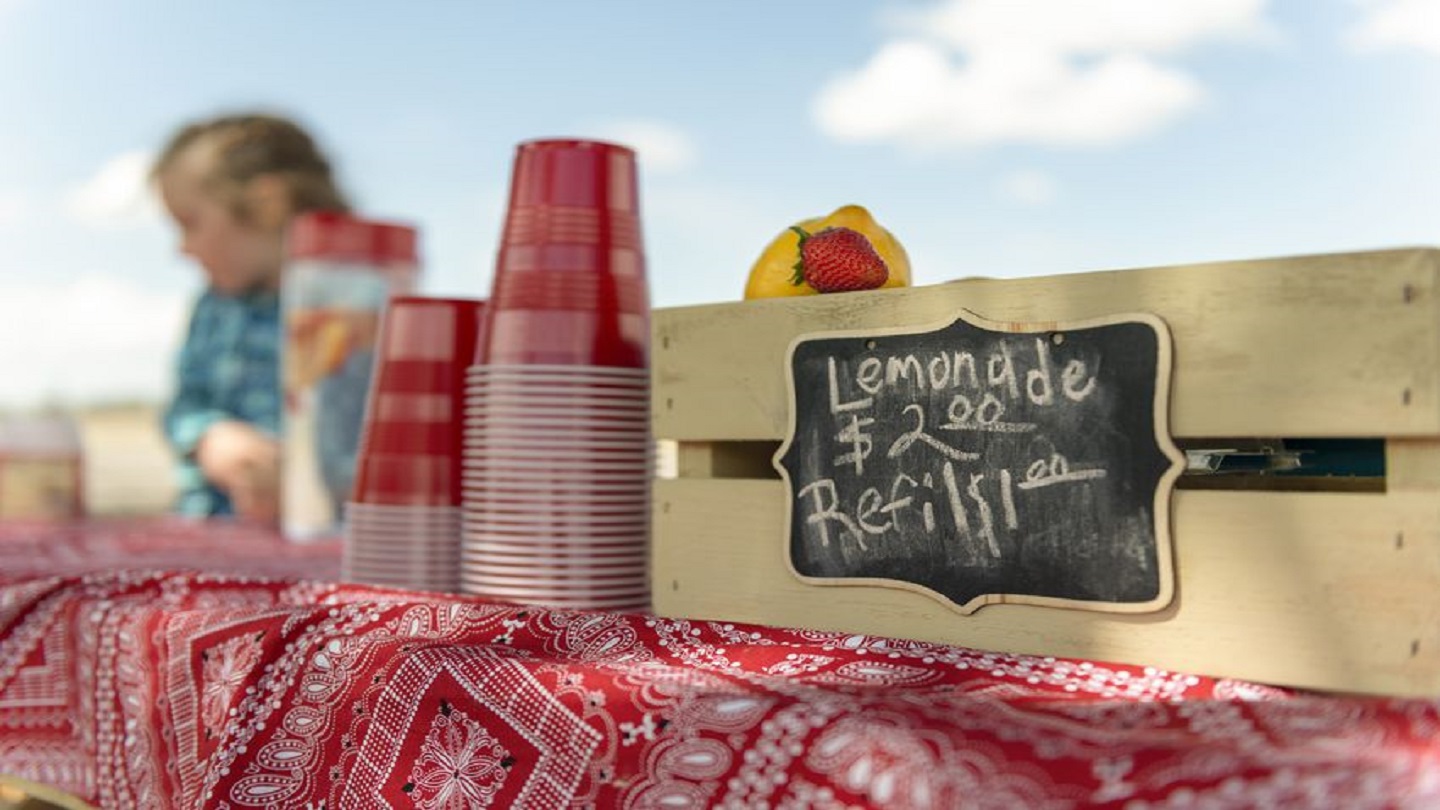 Lemonade Stand IS_1560265667056.jpg.jpg