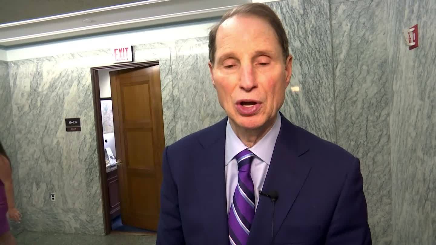 PAVE Act introduced to increase election security