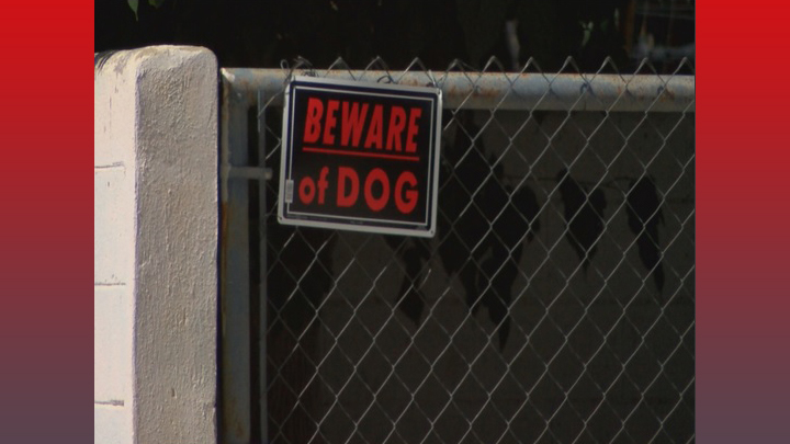 beware-of-dog-720_1436977597479.jpg