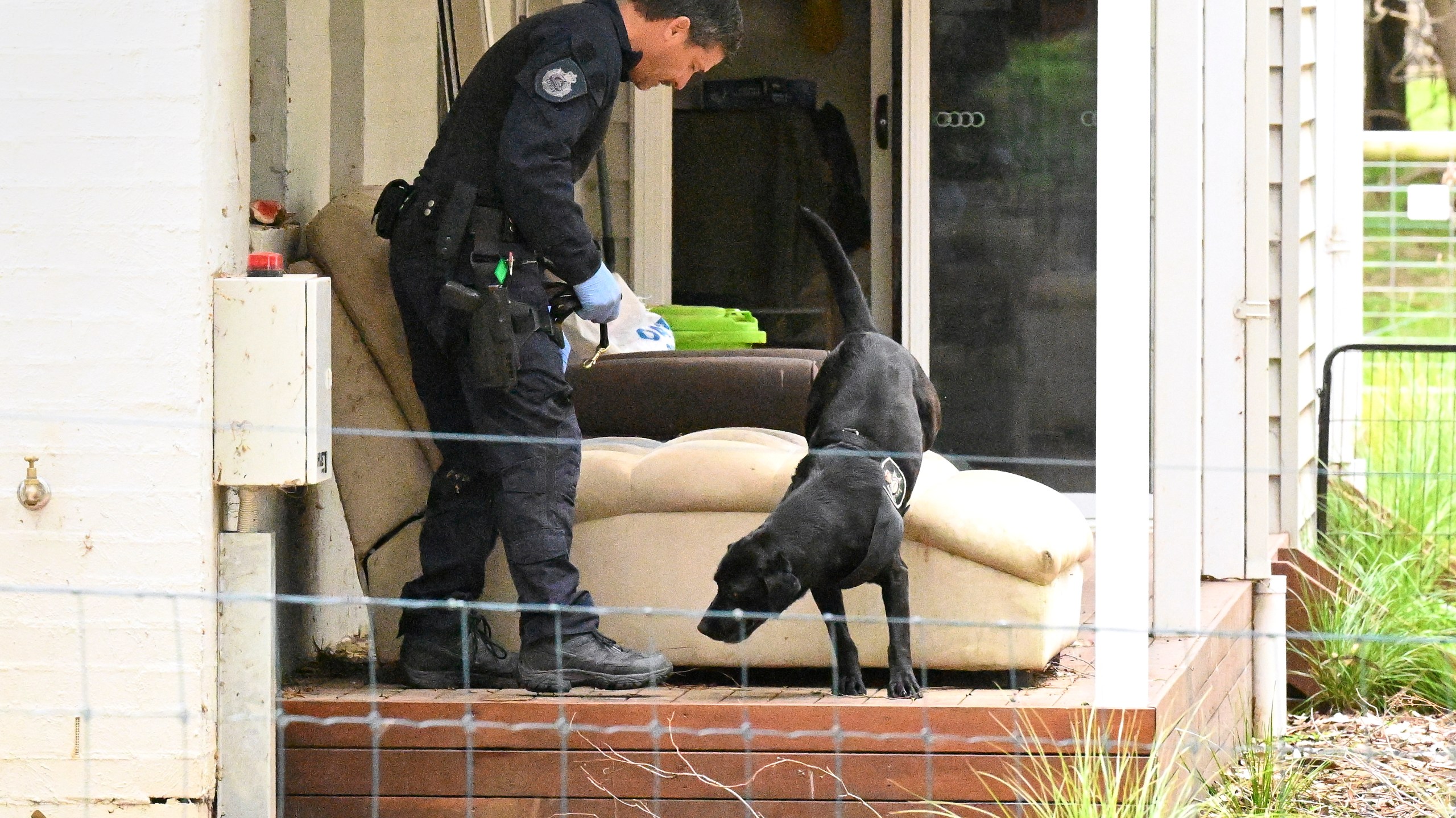 A police officer and dog investigate at the property of Erin Patterson in Leongatha, Australia, Thursday, Nov. 2, 2023. Australian police have on Thursday arrested Patterson in an investigation of a suspected mushroom poisoning incident that left three people dead. (James Ross/AAP Image via AP)